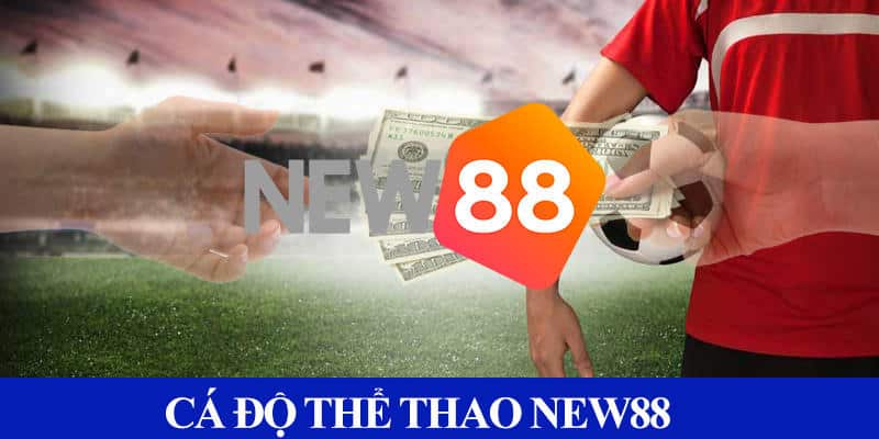 Ca cuoc the thao duoc gioi thieu tai New88