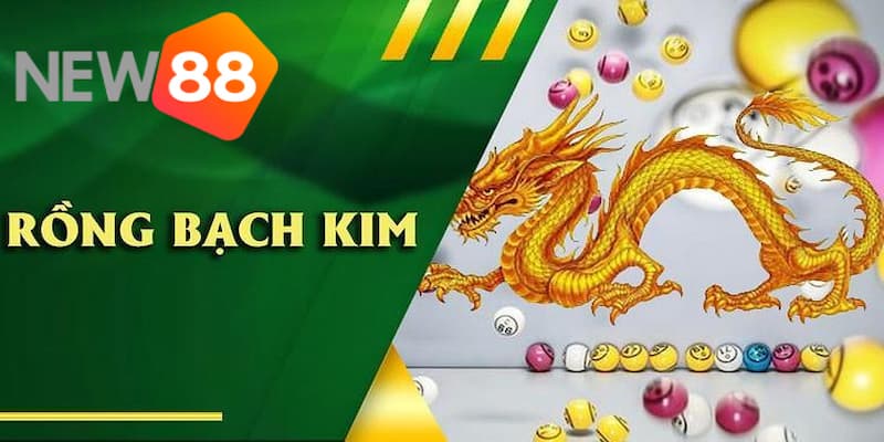 Giới thiệu về soi cầu lô đề Rồng Bạch Kim